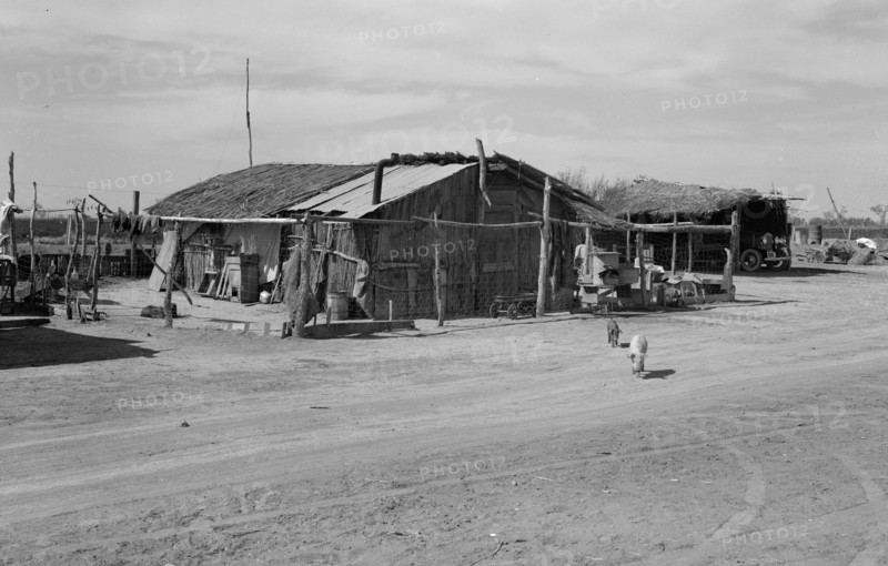 Housing typical of that afforded Mexican field workers of the Imperial Valley. 19380101