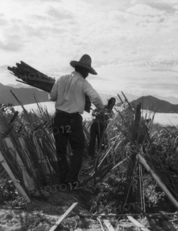 Rural rehabilitation camps for migrants in California, 1935