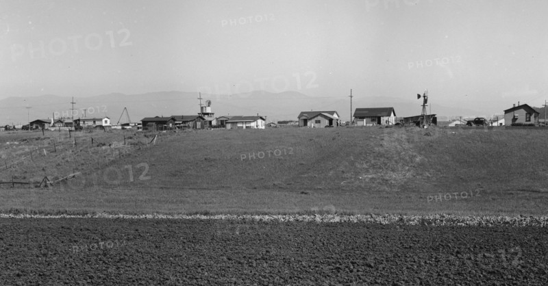 Shacks occupied by lettuce shed workers, 1939