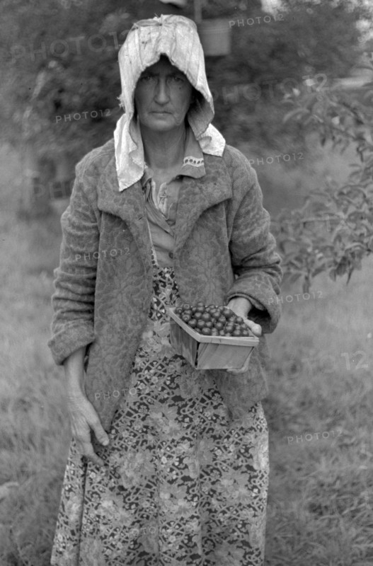 Migrant worker in the American Great depression, 1939