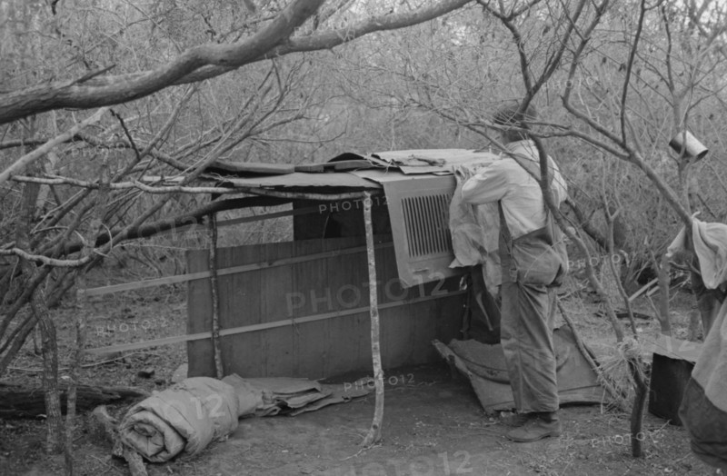White migrant worker living in camp with two other men, working on lean-to which is to be his sleeping quarters. Near Harlingen, Texas 19390101.