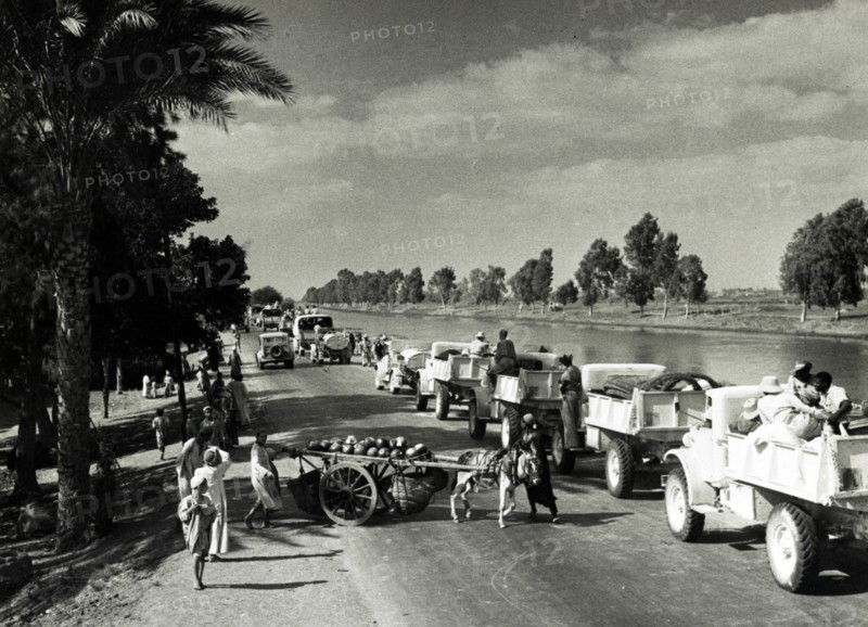 Photograph of military vehicles moving forward to the battle areas in Egypt