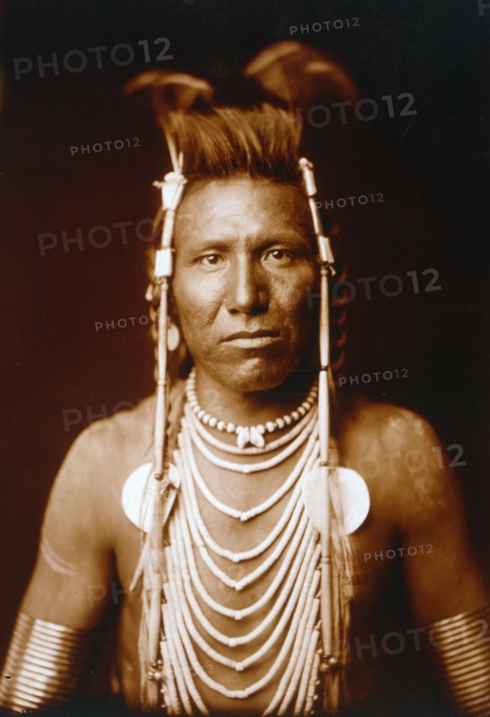 Photographic print of Ben Long Ear