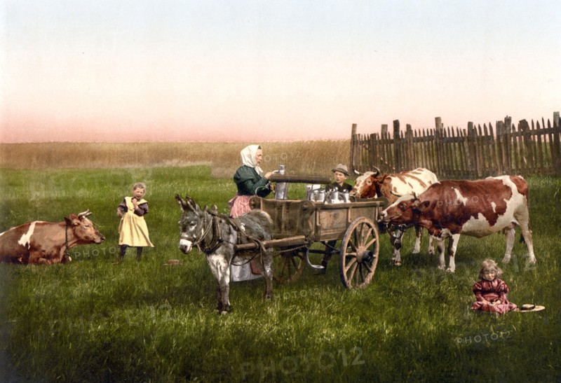 Milk sellers, Cologne, The Rhine, Germany.