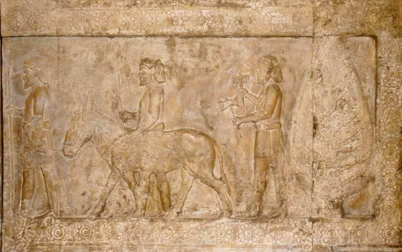 Reliefs from the Palace of Persepolis