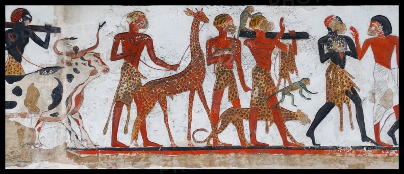 Egyptian temple relief depicting a military expedition by Rameses II (1279-1213 BC)