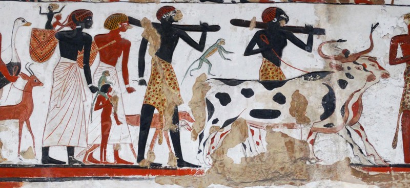 Egyptian temple relief depicting a military expedition by Rameses II (1279-1213 BC)