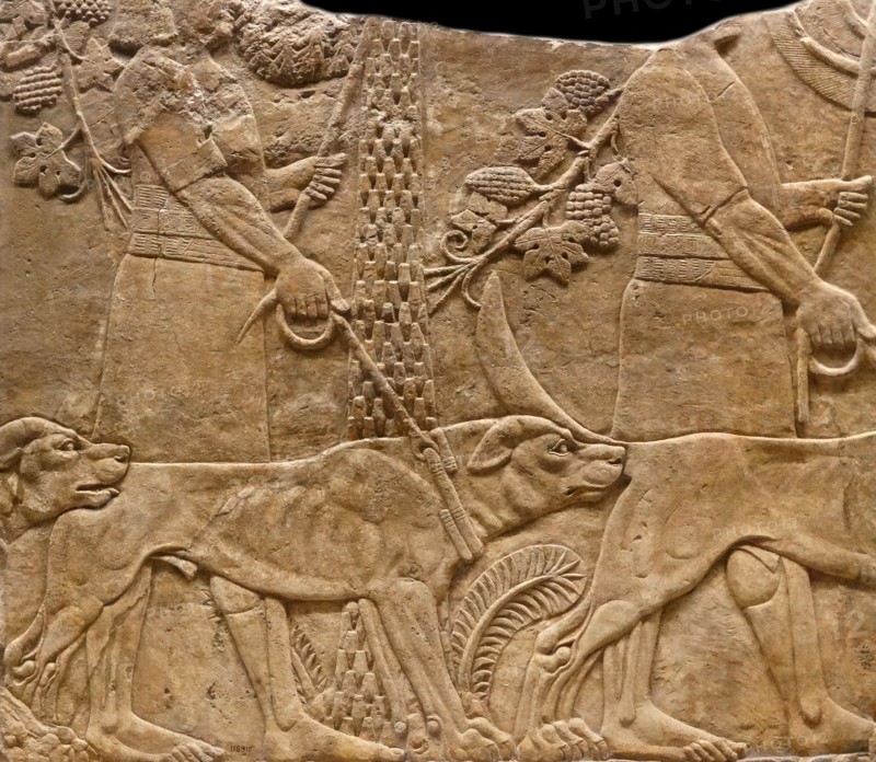 relief showing huntsmen with hounds in a garden. Assyrian, about 645-635 BC From Nineveh