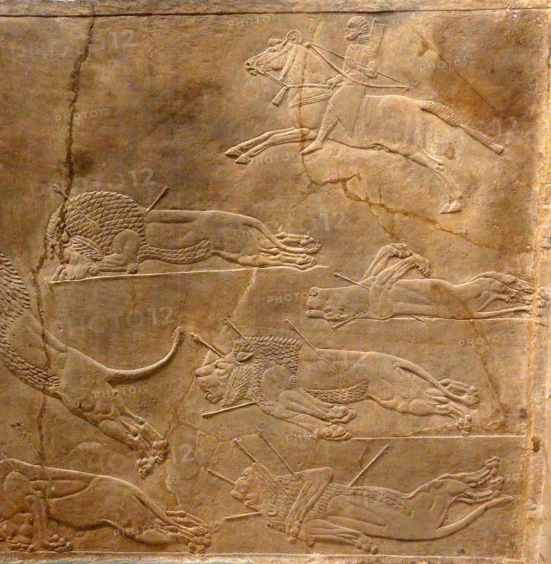 Relief depicting the royal lion hunt. Assyrian, about 645-635 BC From Nineveh