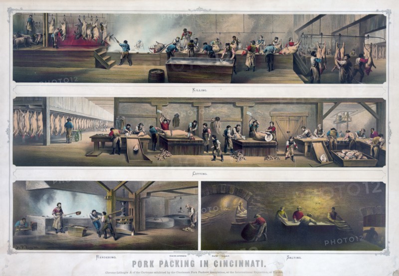 Pork packing in Cincinnati
