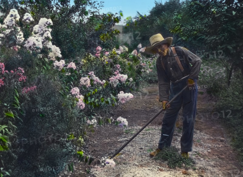 Fennimore, James Stetson Metcalfe house. Portrait of gardener