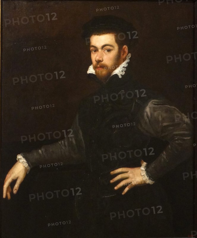 Painting titled 'Portrait of a Gentleman' by Tintoretto