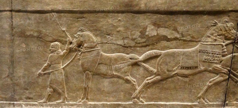 Hunting gazelle. Assyrian, about 645-635 BC From Nineveh