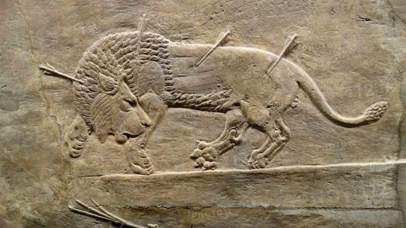 The royal lion hunt, Assyrian, about 645-635 BC From Nineveh. North Palace, Iraq