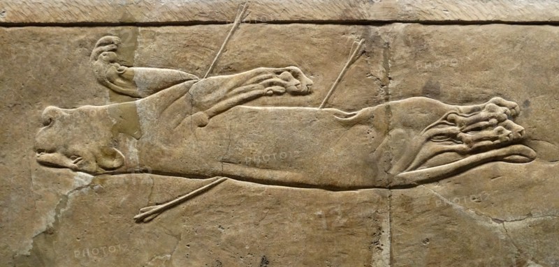 The royal lion hunt, Assyrian, about 645-635 BC From Nineveh. North Palace, Iraq