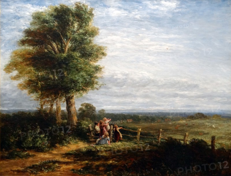 The Skylark by David Cox