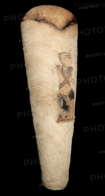 Animal mummy from Egypt