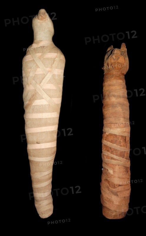 Animal mummy from Egypt