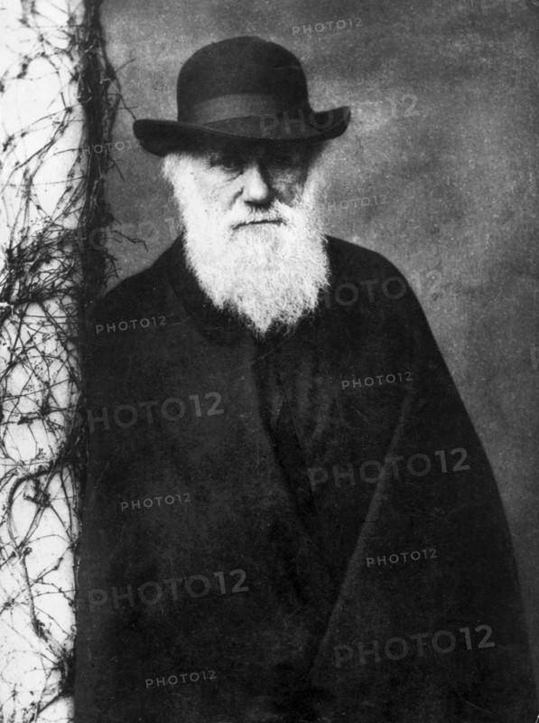Photographic portrait of Charles Darwin , photographed by Julia Margaret Cameron