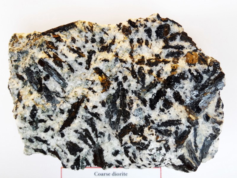 Coarse Diorite from Lochnagar, Aberdeenshire