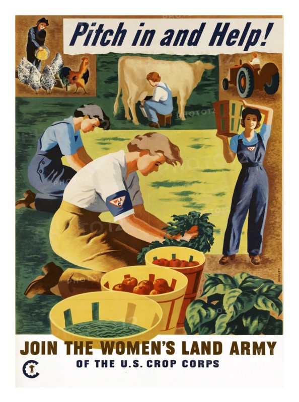 Propaganda Poster from WWII
