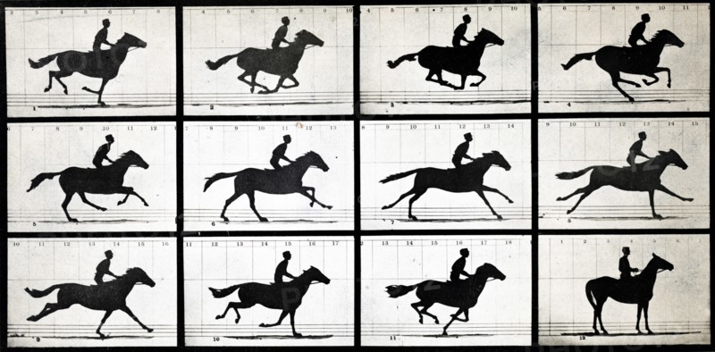 Horse in Motion by Eadweard Muybridge