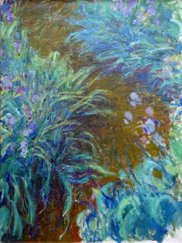 Irises' by Claude Monet