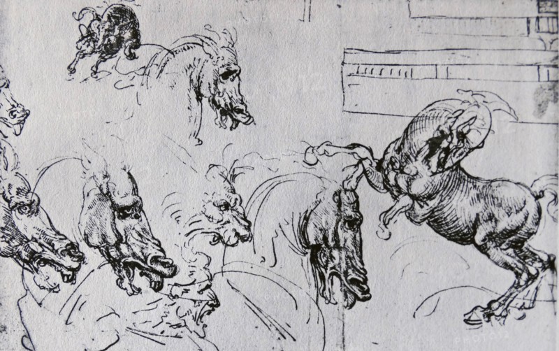 Sketches for the 'Battle of Anghiari' by Leonardo Da Vinci