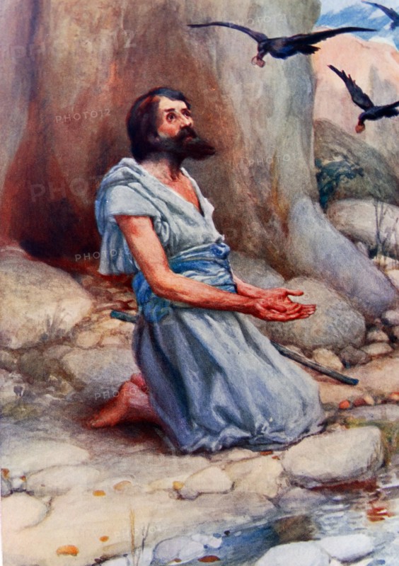 Elijah and the Ravens