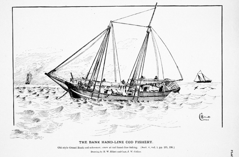 Drawing of an old style Grand Bank cod schooner by H. W. Elliott and Capt. J. W. Collins
