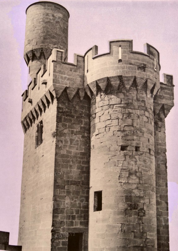 Castle of Olite