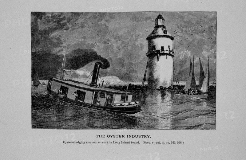 Oyster dredging steamer at work in Long Island Sound