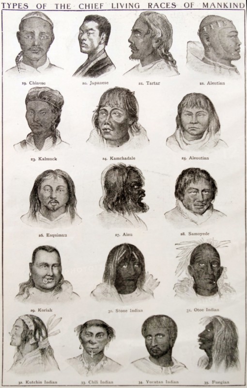 Types of the Chief Living Races of Mankind