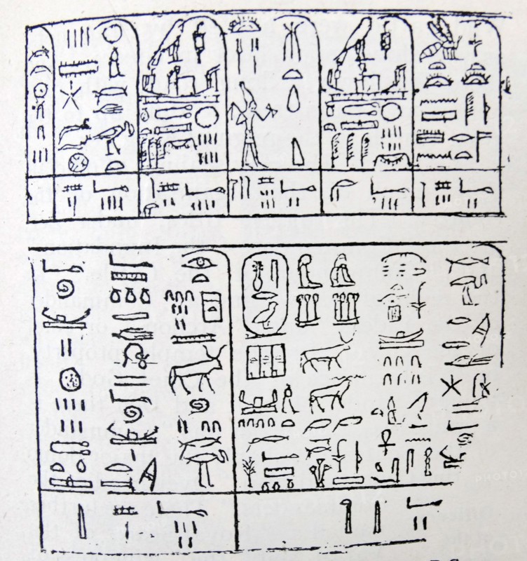 Engraving taken from the Palermo Stone