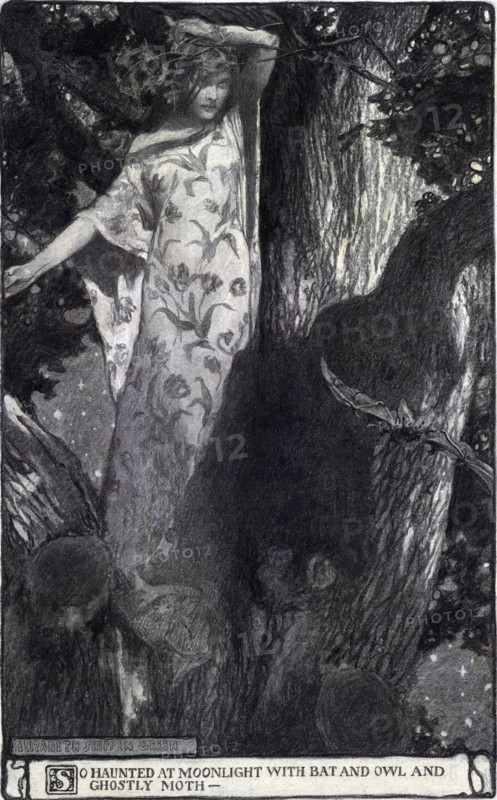 A young dryad balanced in treetop branches among a bat