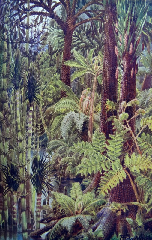Painting depicting the gigantic vegetation of the carboniferous age