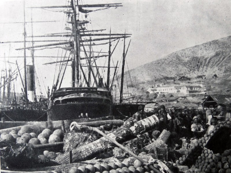 The Ordnance