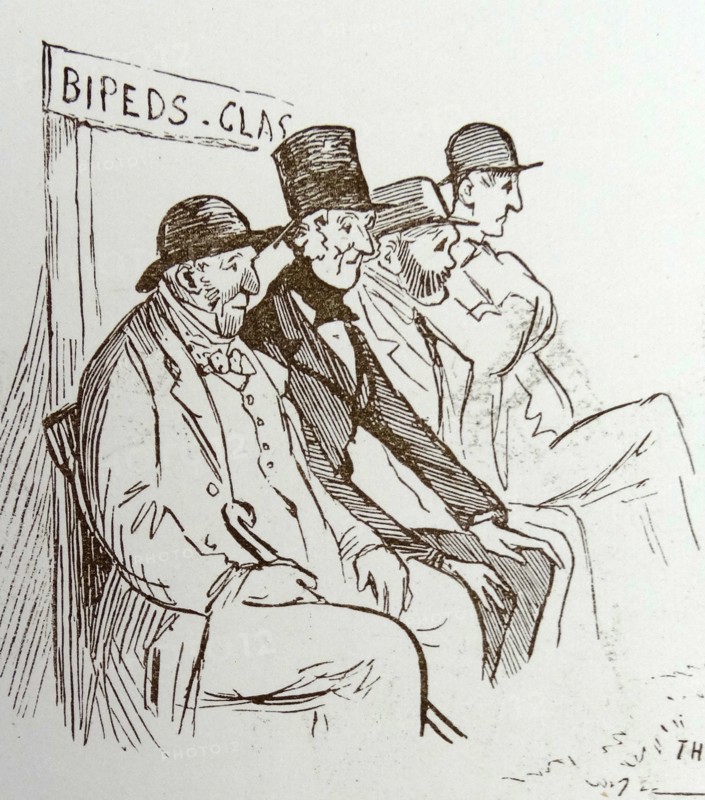 Graphic by Randolph Caldecott