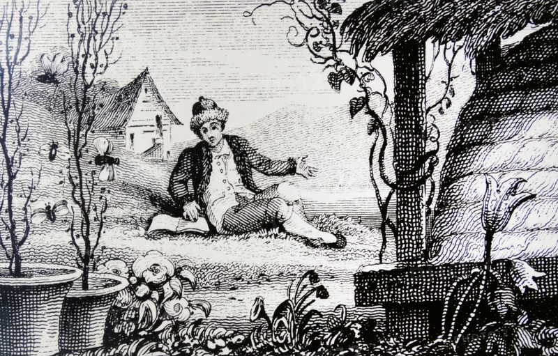 The blind Swiss naturalist FRANCIS HUBER
