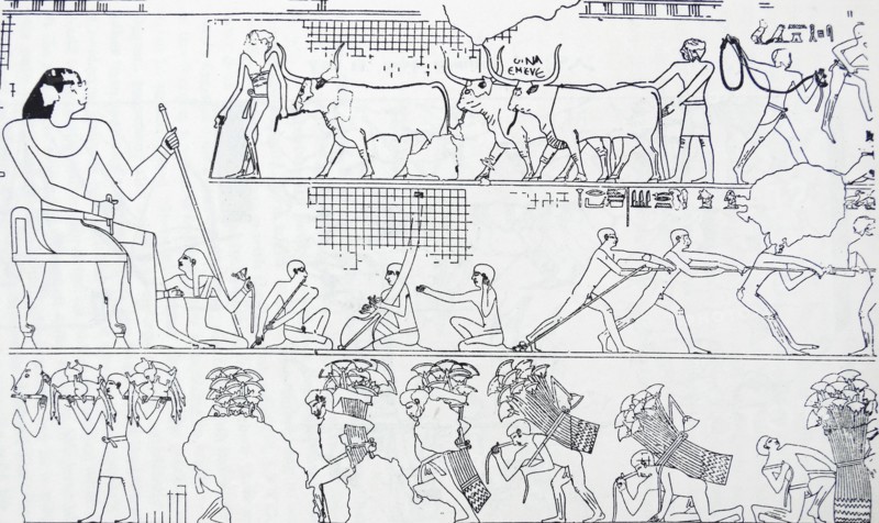 Freize depicting cattle