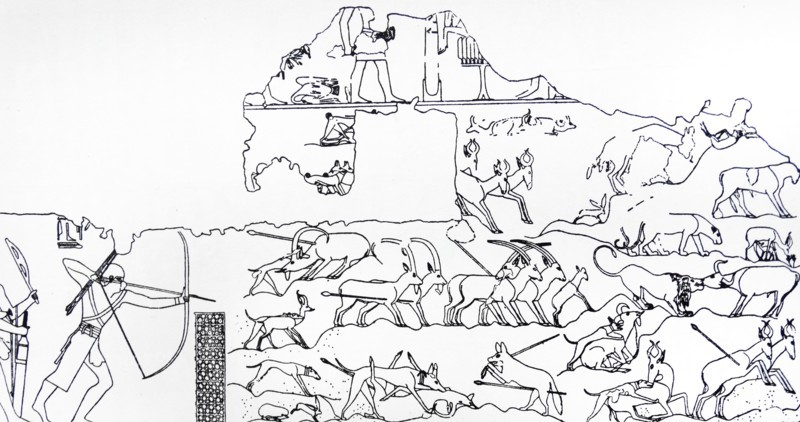Senbi hunting. Period: Middle Kingdom. 12th Dynasty