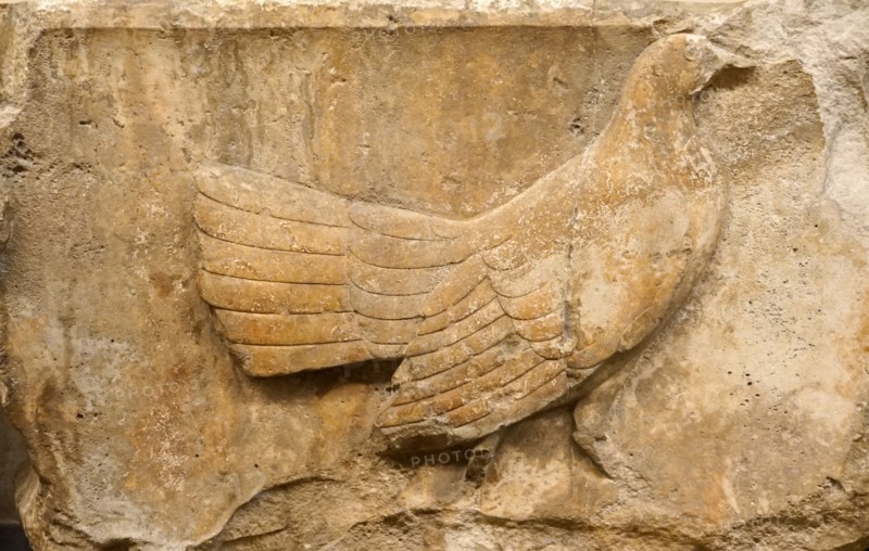 Frieze from Xanthos depicting wild fowl