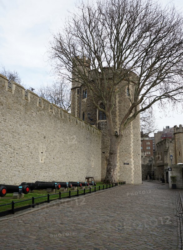 Views around the Tower of London