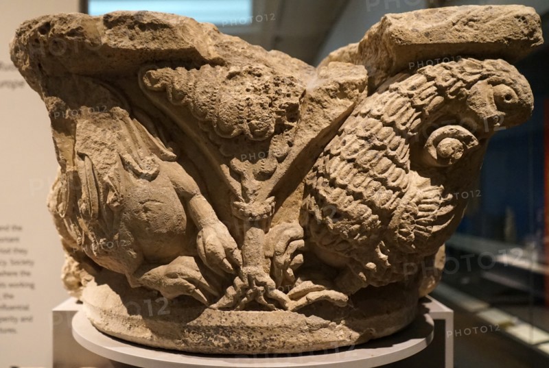Stone capital with lion and griffin