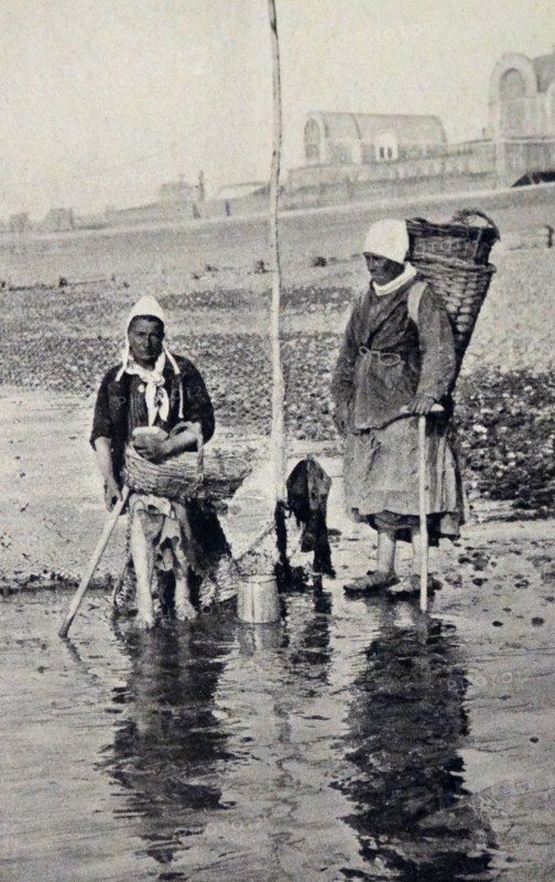 mussel gatherers off the coast of Normandy
