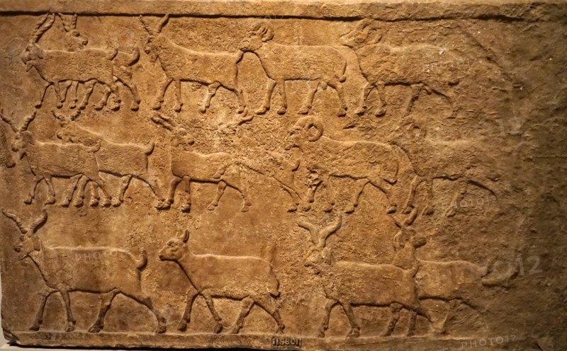 Assyrian wall plaques