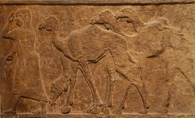 Assyrian wall plaques