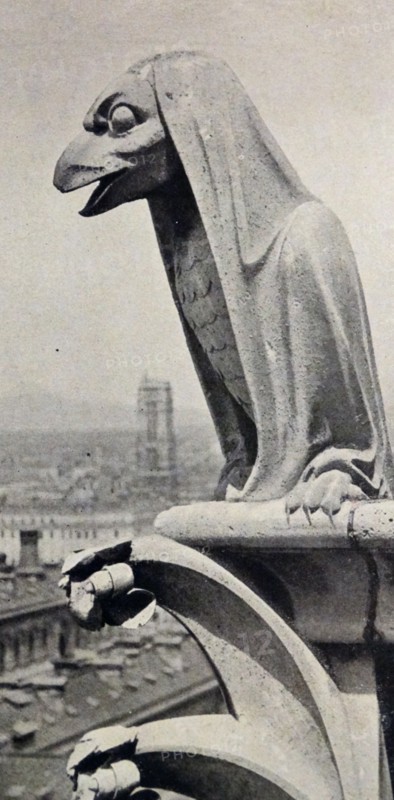 The Gargoyles on the west front of the Cathedral of Notre-Dame