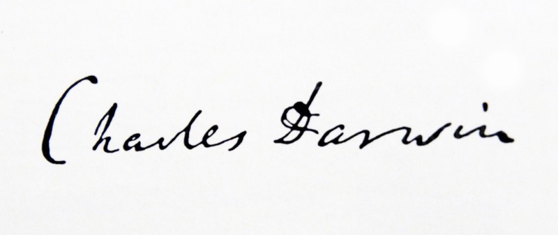Signature of Charles Darwin