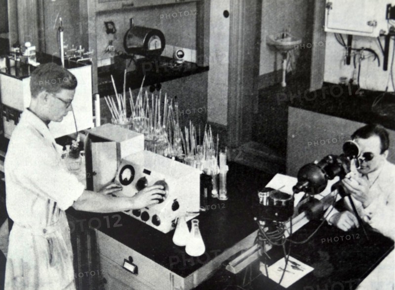 Scientist experimenting with milk samples
